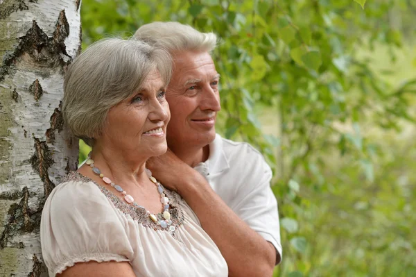 Old couple near the birch in a forest — Stock Photo, Image