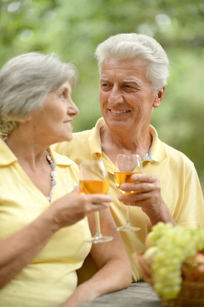O velho casal bebendo vinho — Fotografia de Stock