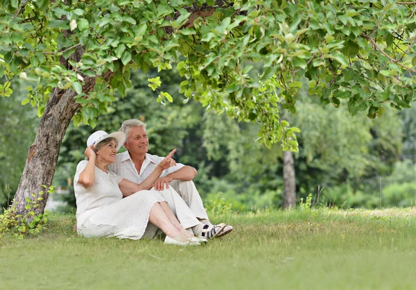 Aged couple outdoors — Stock Photo, Image