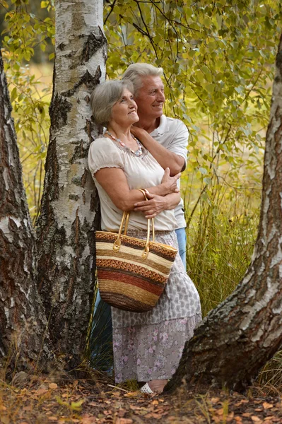Elderly couple standing under a birch — Stock Photo, Image