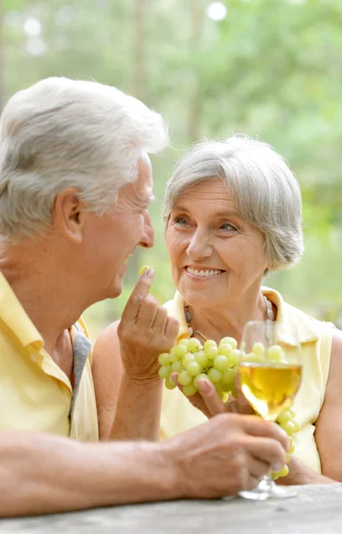 La vieja pareja bebiendo vino — Foto de Stock
