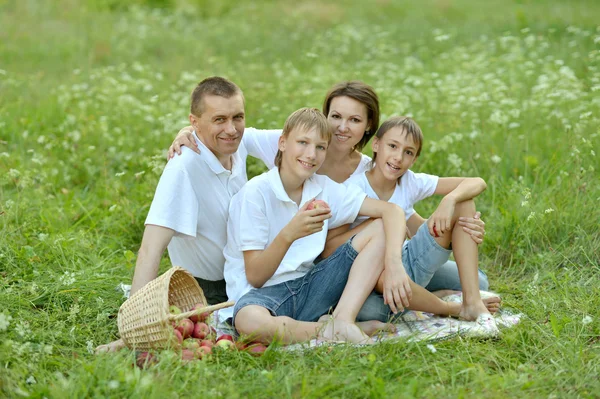 Семья на пикнике — стоковое фото