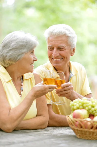 La vieja pareja bebiendo vino — Foto de Stock