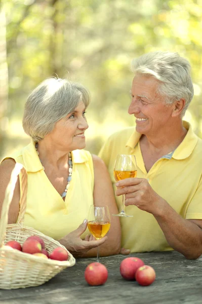 The old couple drinking wine — Stock Photo, Image