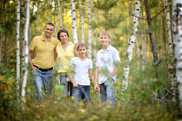 Família feliz na floresta de bétula — Fotografia de Stock