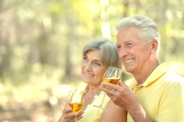 La vieja pareja bebiendo vino — Foto de Stock