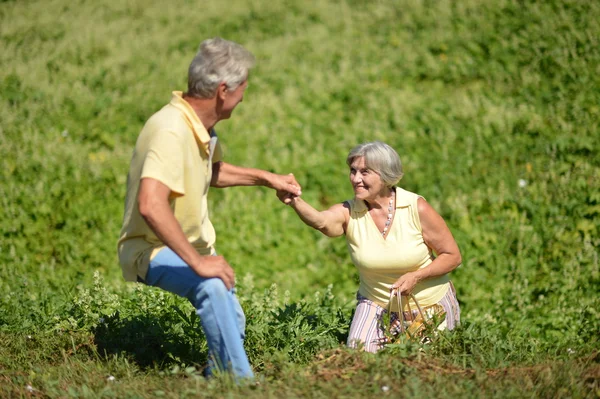 Adorabile vecchia coppia in mezzo al campo — Foto Stock