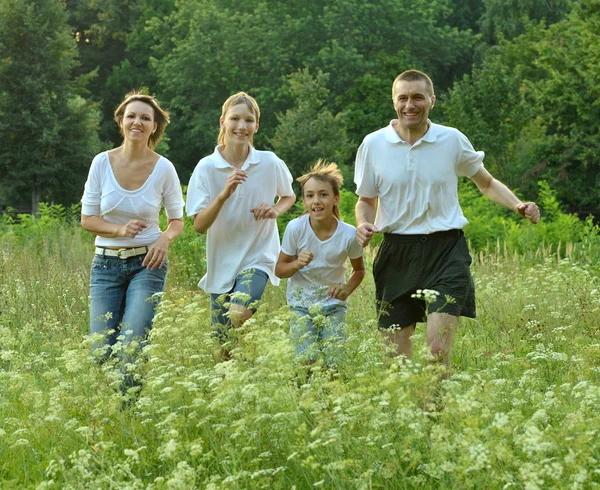 Familjen har kul i parken — Stockfoto
