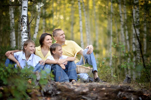 Huş ağacı orman içinde mutlu bir aile — Stok fotoğraf