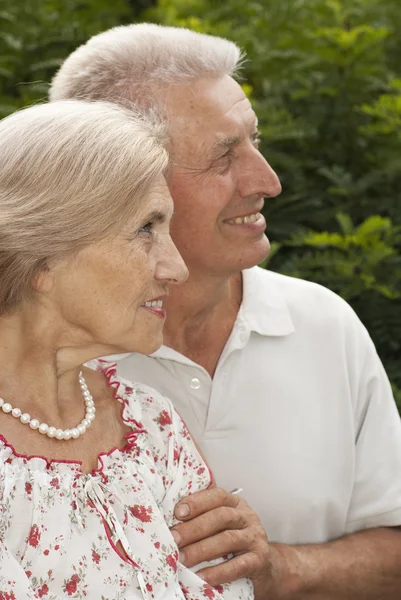 Nice elderly couple walk along the streets — Stock Photo, Image