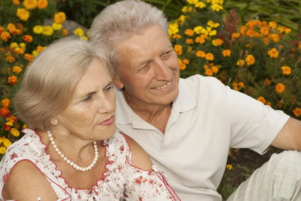 Magnificent elderly couple in the park — Stock Photo, Image