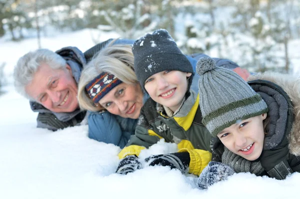 Familyin winter park — Zdjęcie stockowe