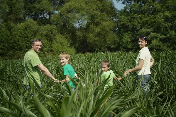 Familie van vier in zomer park — Stockfoto