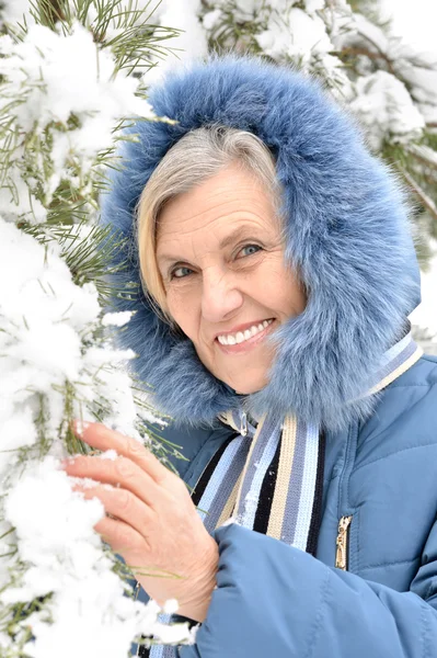 Portrait of a nice old woman in the winter — Stock Photo, Image