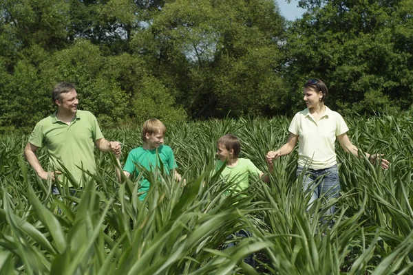 Family of four in summer park — Stock Photo, Image