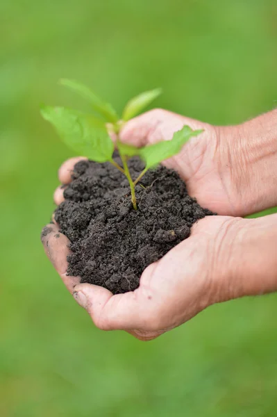 Saving nature — Stock Photo, Image