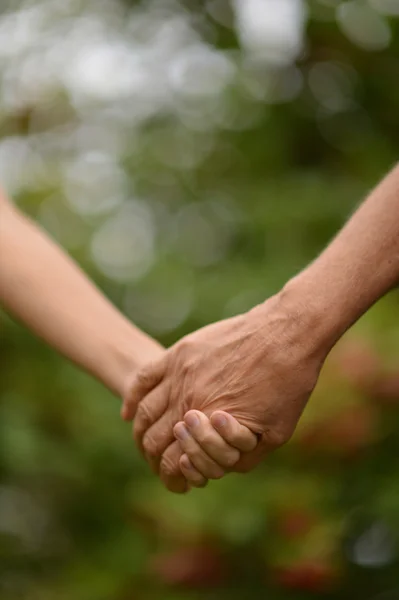 Hands of friendship — Stock Photo, Image