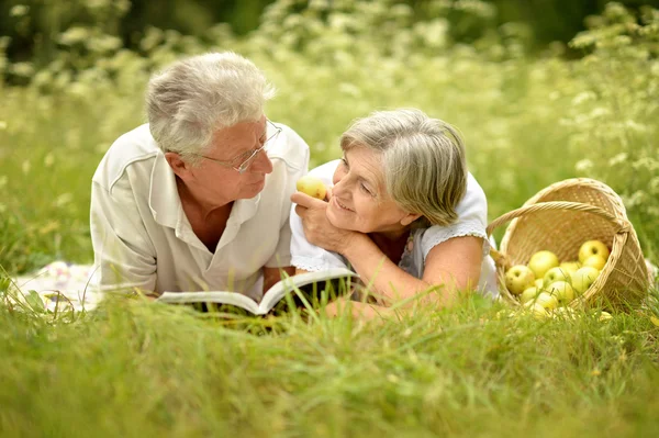 Szerető idős pár birtoklás egy piknik, nyáron — Stock Fotó