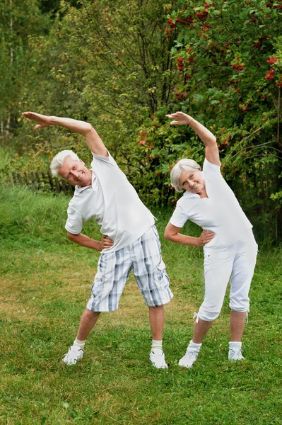 Couple âgé en heure d "été — Photo