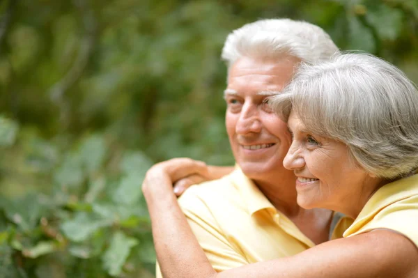 Elderly couple portrait — Stock Photo, Image