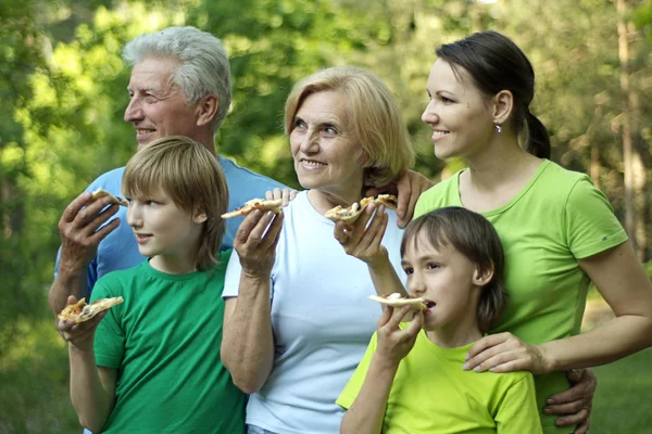 Mutlu aile piknikte — Stok fotoğraf