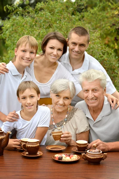 Familie drikker te udendørs - Stock-foto