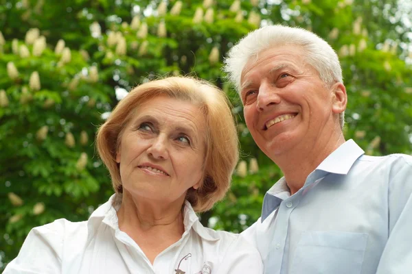 Bella gente godere di unione con la natura — Foto Stock