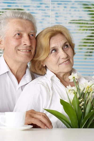 Pleasant old people at the resort — Stock Photo, Image