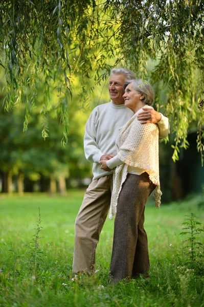 Seniorenpaar im Park — Stockfoto