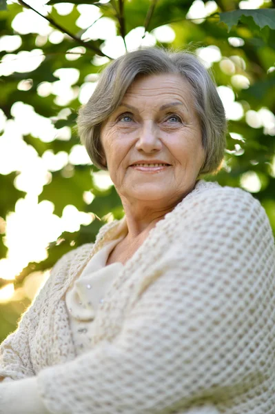 Πορτρέτο του μια ευτυχισμένη ηλικιωμένη γυναίκα σε εξωτερικούς χώρους — Φωτογραφία Αρχείου