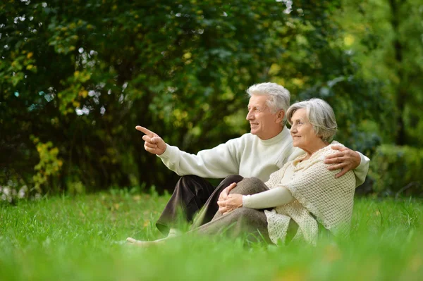 Seniorenpaar in park — Stockfoto