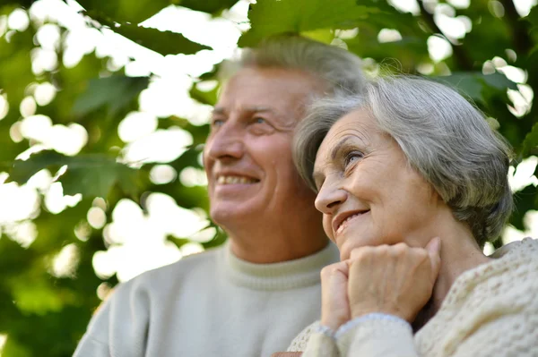 Senior paar in park — Stockfoto