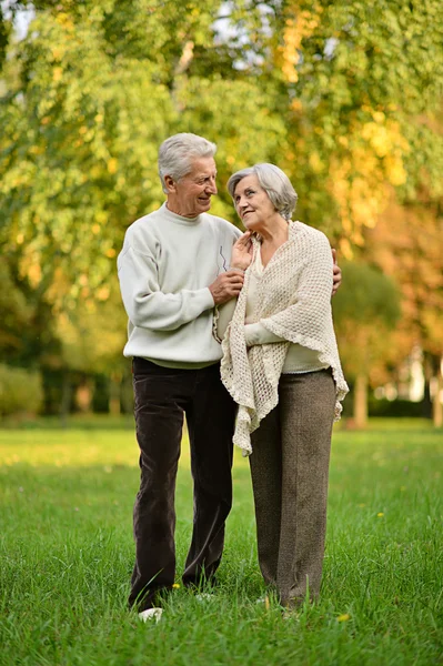 Seniorenpaar im Park — Stockfoto