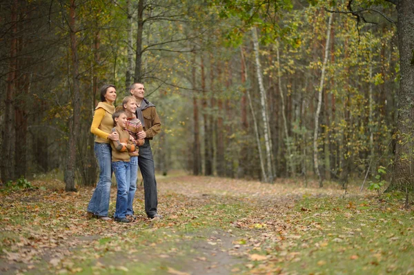 Familia de cuatro en el parque —  Fotos de Stock