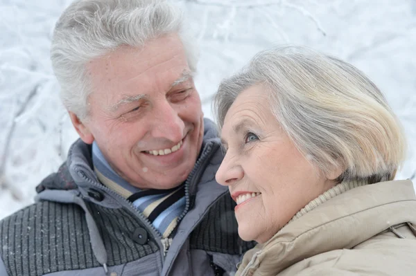 Pareja mayor en invierno — Foto de Stock