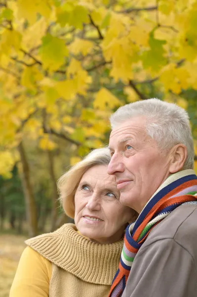 Ευτυχισμένο ζευγάρι ηλικιωμένων στο πάρκο — Φωτογραφία Αρχείου