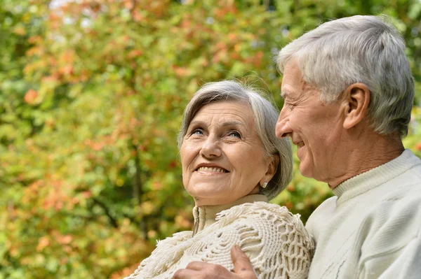 Gelukkig senior koppel in park — Stockfoto