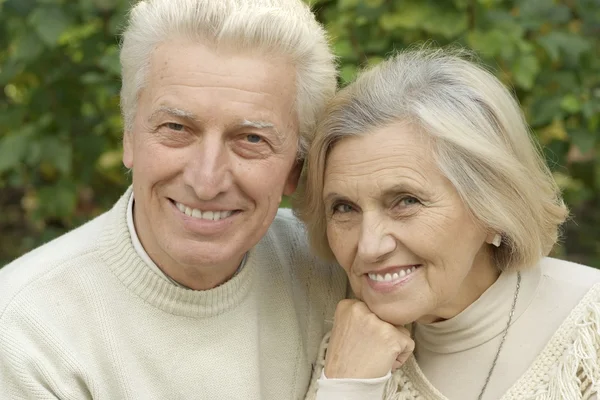 Elderly couple in park — Stock Photo, Image