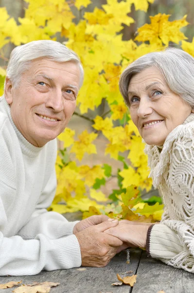 Senior couple in autumn — Stock Photo, Image