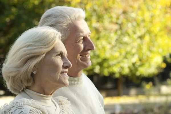 Felice coppia di anziani nel parco — Foto Stock