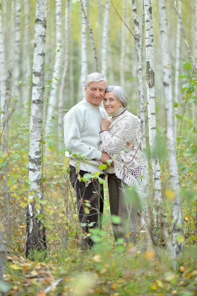 Coppia anziana nella foresta — Foto Stock