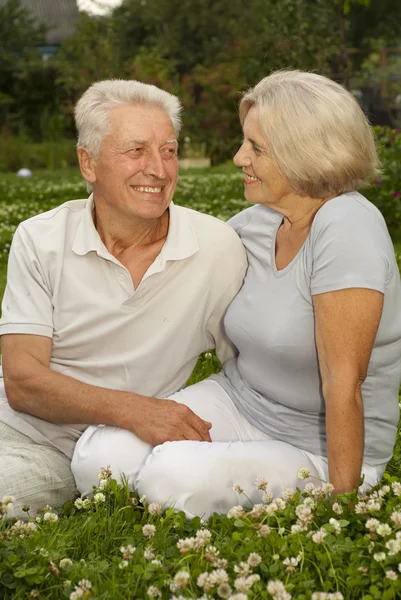Adorable aged couple in the middle of the lawn — Stock Photo, Image