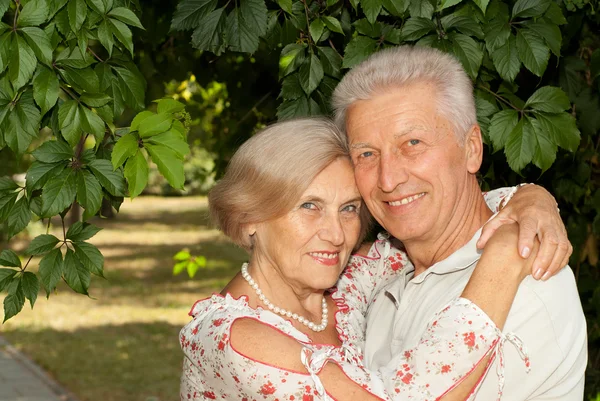 Sweet elderly couple in the park — Stock Photo, Image