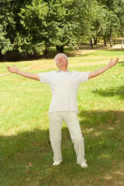 Hombre de edad agradable —  Fotos de Stock