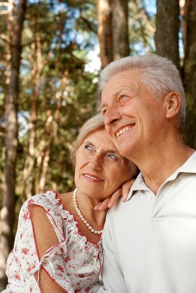 Tops elderly couple in the forest — Stock Photo, Image