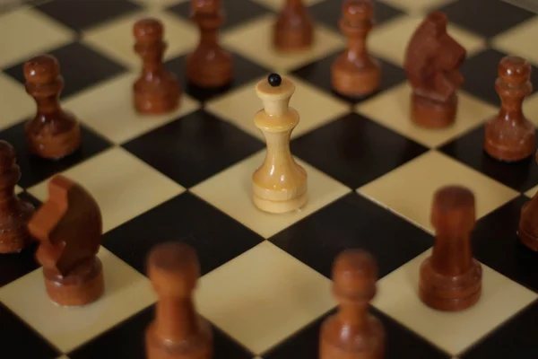 Beau jeu d'échecs et échiquier — Photo