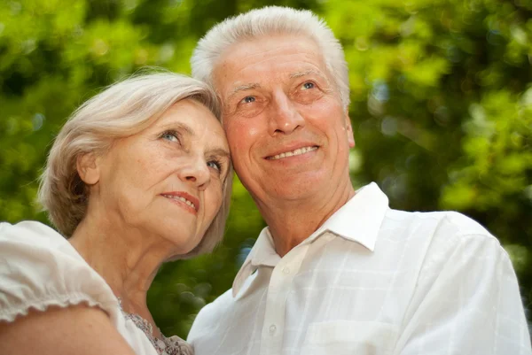 Fine elderly couple went in the park — Stock Photo, Image