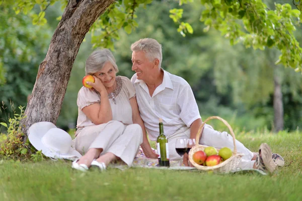 Happy aged couple — Stockfoto