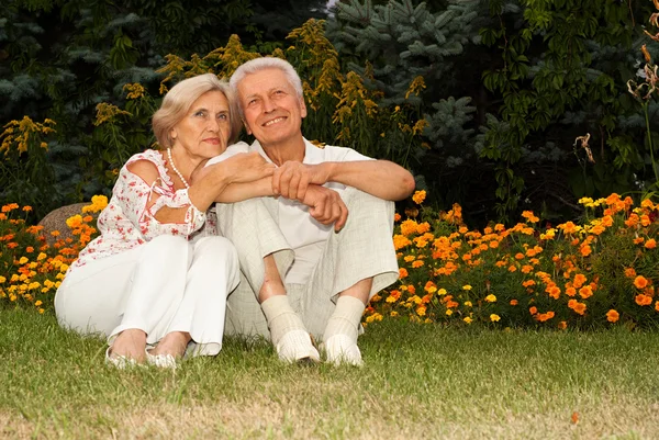 Amar a la pareja de ancianos en el parque —  Fotos de Stock