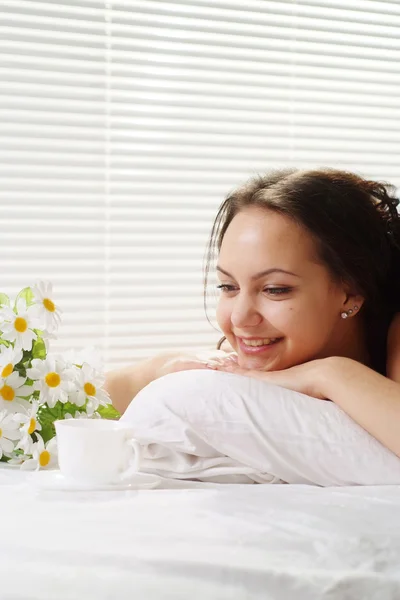 Schöne kaukasische Hündin liegt in einem Bett der Tasse — Stockfoto